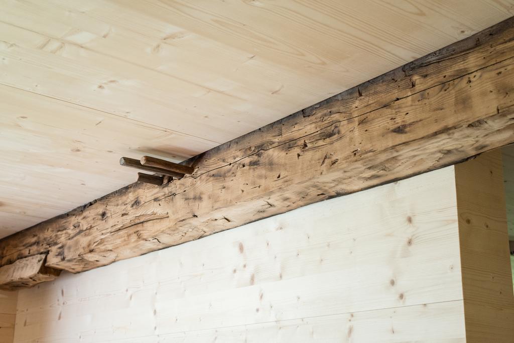 Giatla Hof Der Alfenalm - Ferienwohnungen Am Berg Innervillgraten Extérieur photo